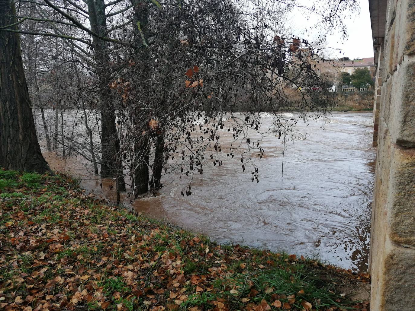 Río Arlanza. 