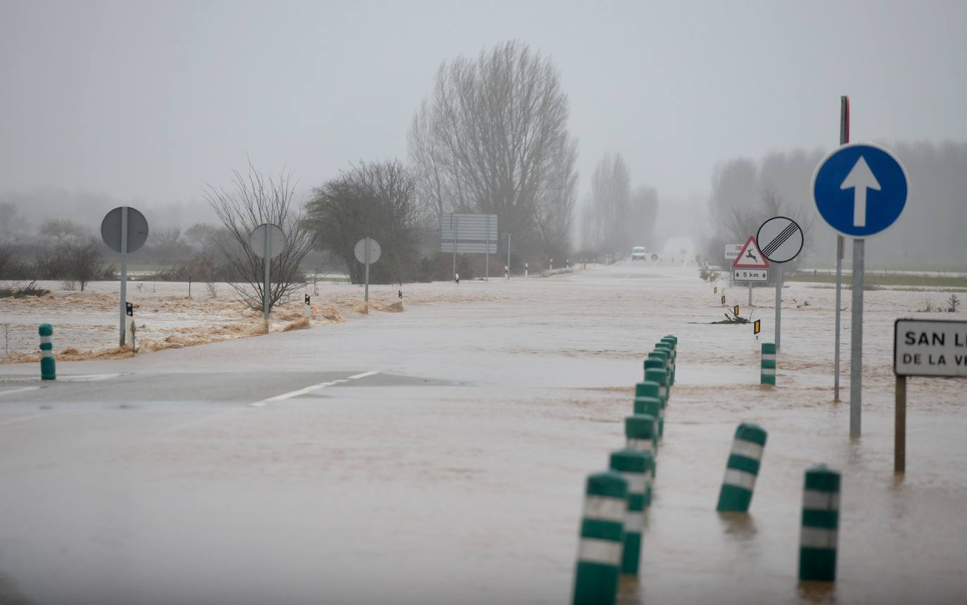 El río Pisuerga se desborda a su paso por Melgar de Fernamental. 