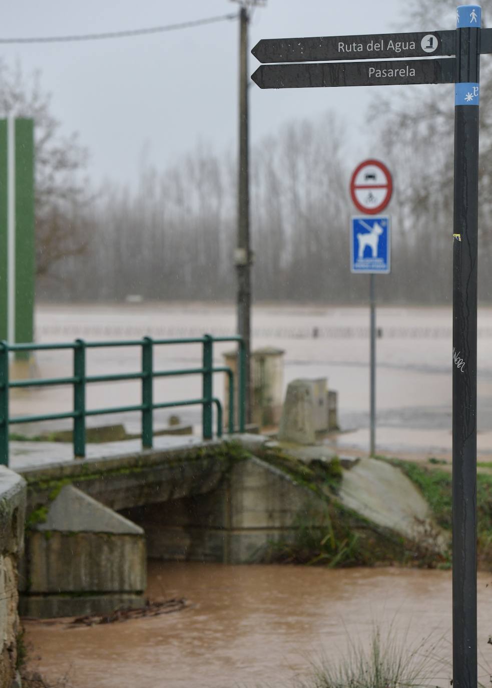 El río Pisuerga se desborda a su paso por Melgar de Fernamental. 