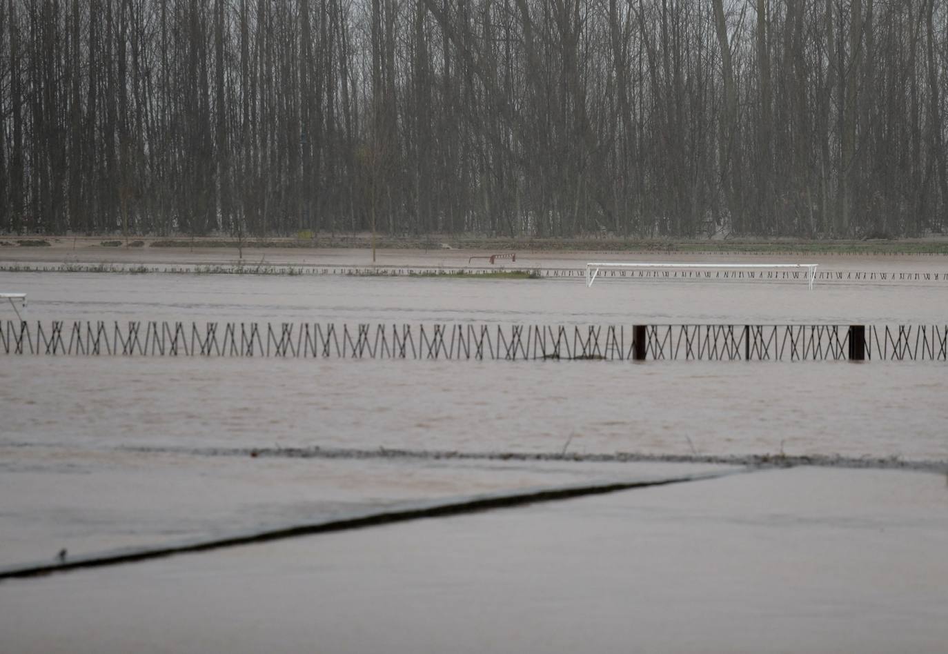 El río Pisuerga se desborda a su paso por Melgar de Fernamental. 