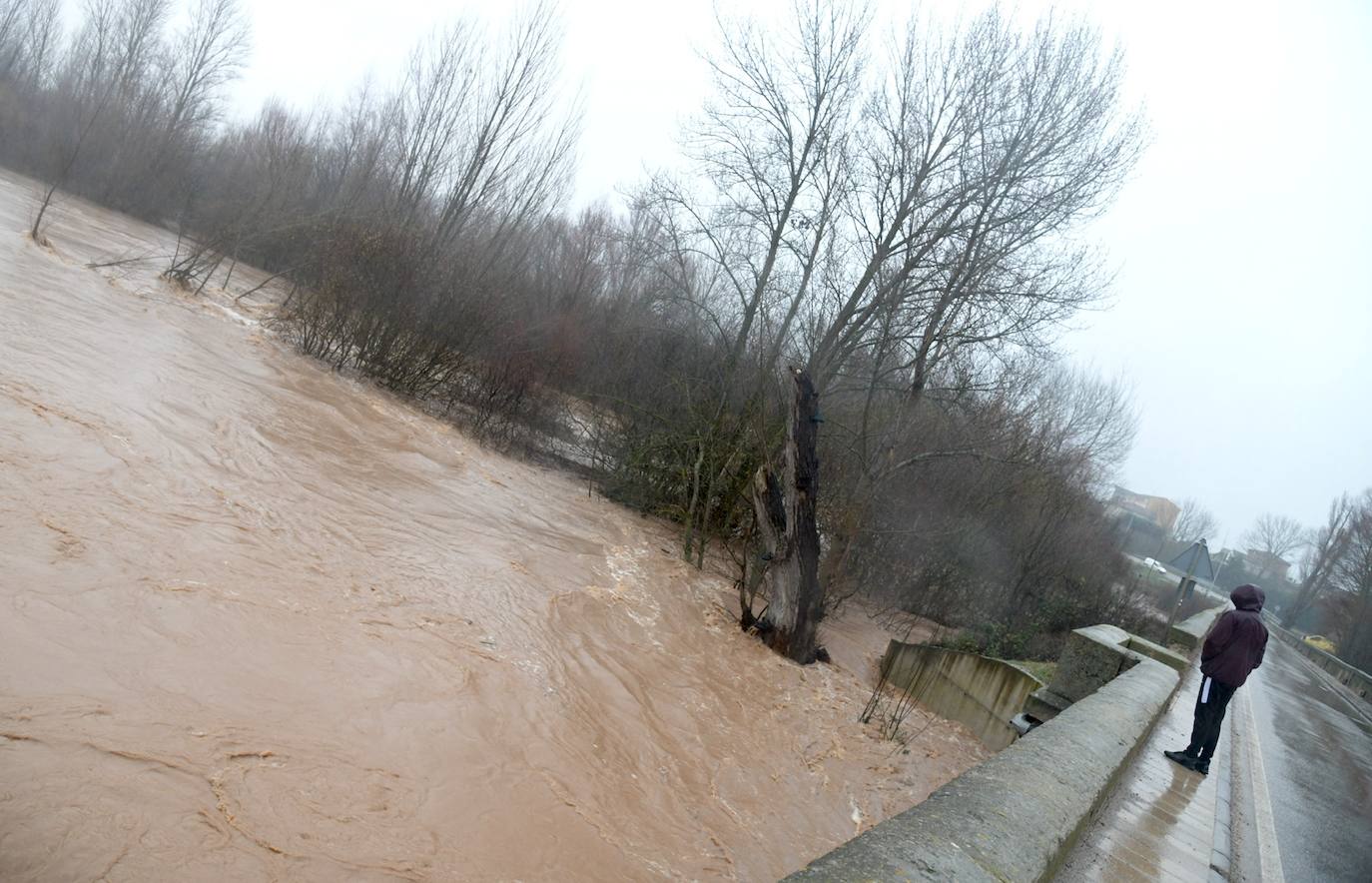 El río Pisuerga se desborda a su paso por Melgar de Fernamental. 