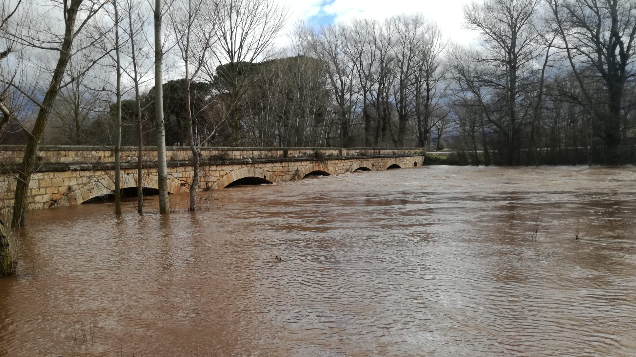 El río Arlanza a su paso por Quintanilla del Agua.