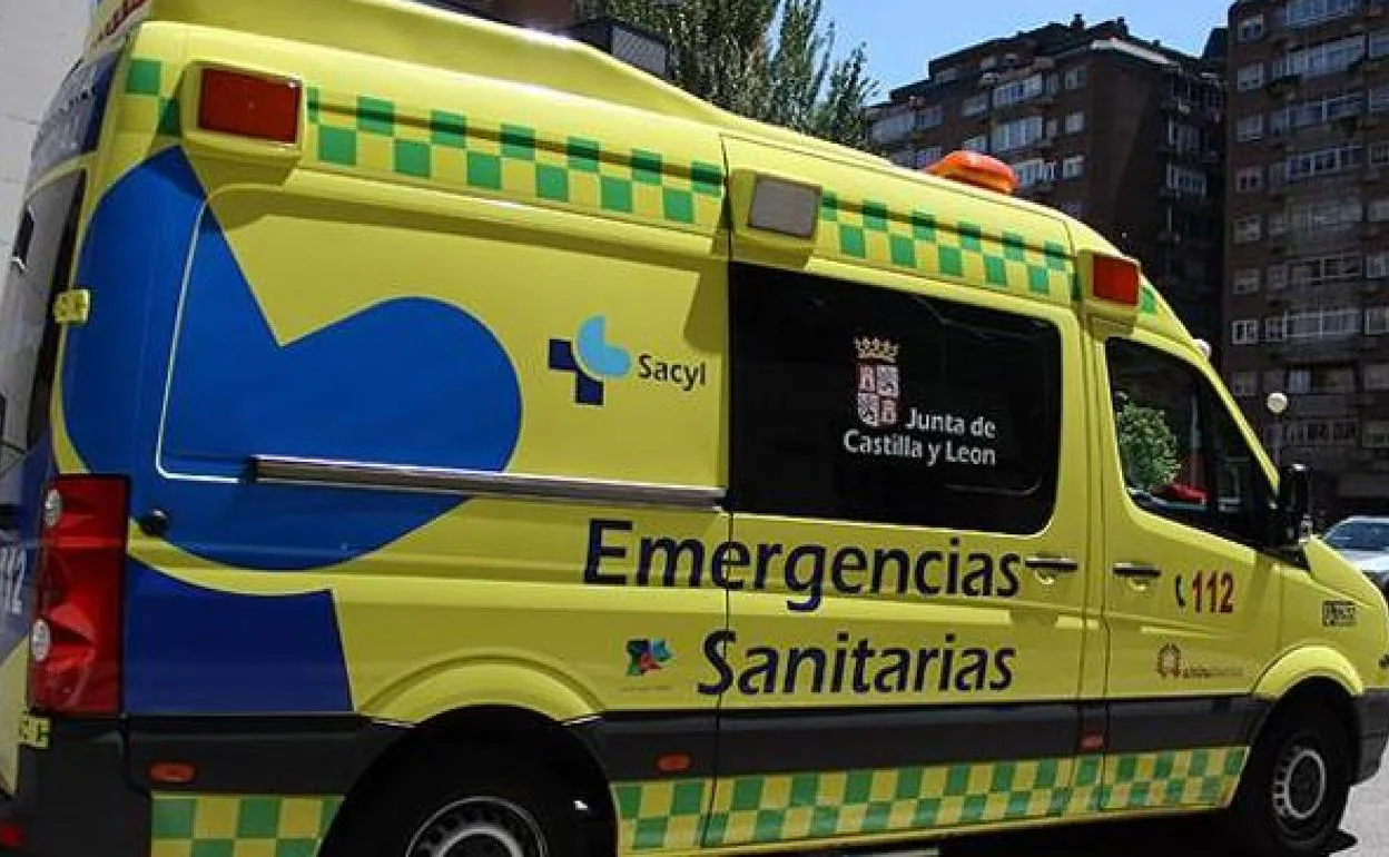 Dos heridos al cochar su furgoneta contra varias vacas a la altura de  Basconcillos del Tozo | BURGOSconecta