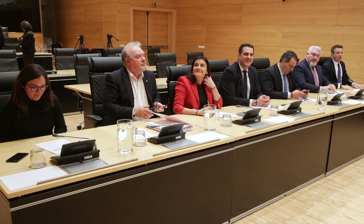 Laura Domínguez (Podemos), José Francisco Martín y Ana Sánchez (PSOE), Alberto de Castro y Salvador Cruz (PP), José Ignacio Delgado y Juan Pablo Izquierdo (Ciudadanos) integran la comisión de investigación de la trama eólica. 