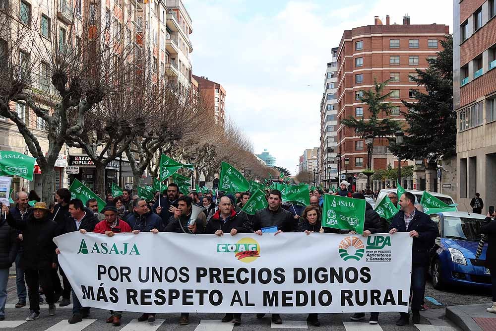 Fotos: Más de 400 agricultores y ganaderos se concentran en Burgos ante la falta de «rentabilidad» de sus explotaciones