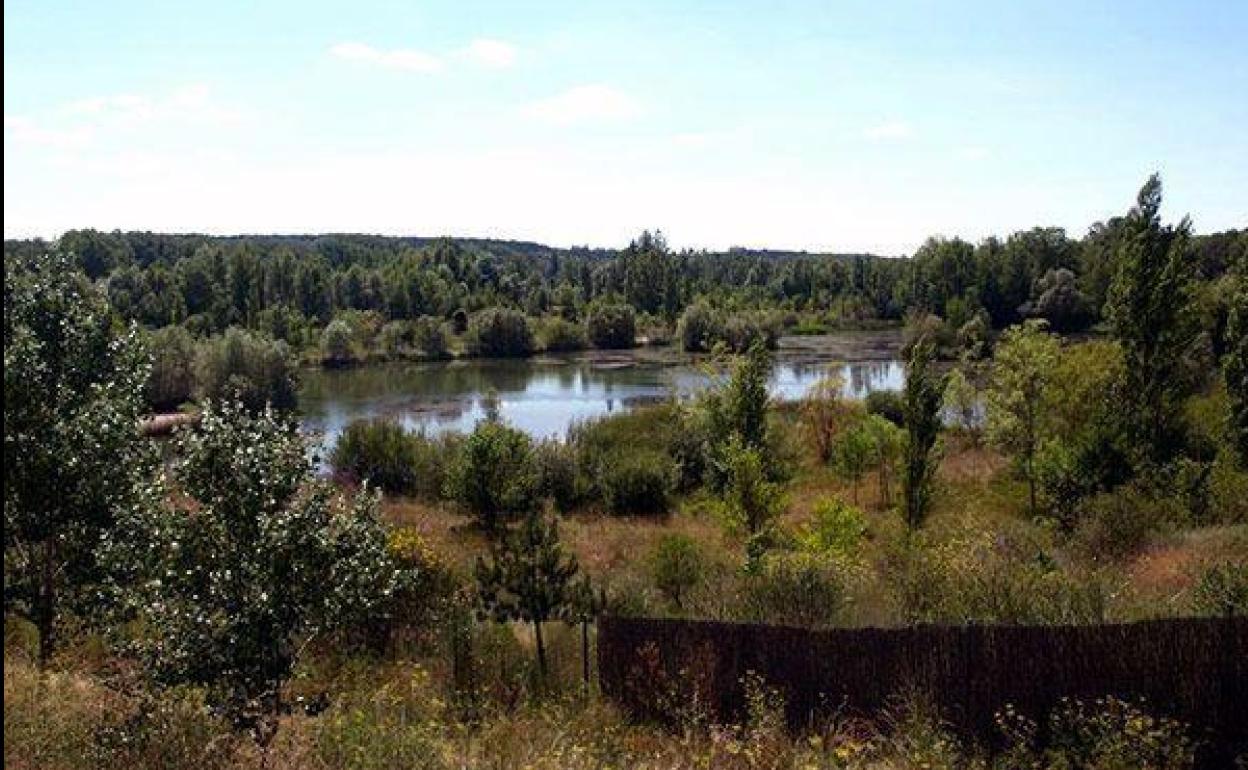 Humedales y sus servicios a la sociedad