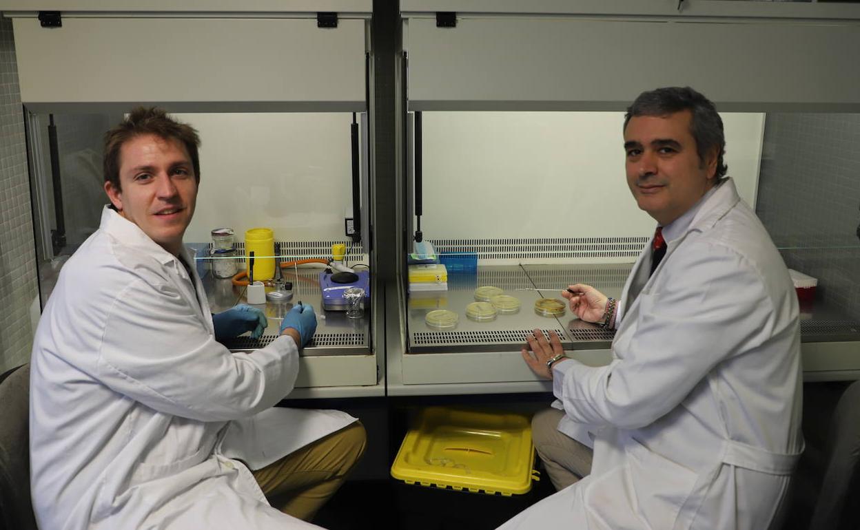 Jorge Santamaría y David Rodríguez-Lázaro, en el laboratorio de la UBU.