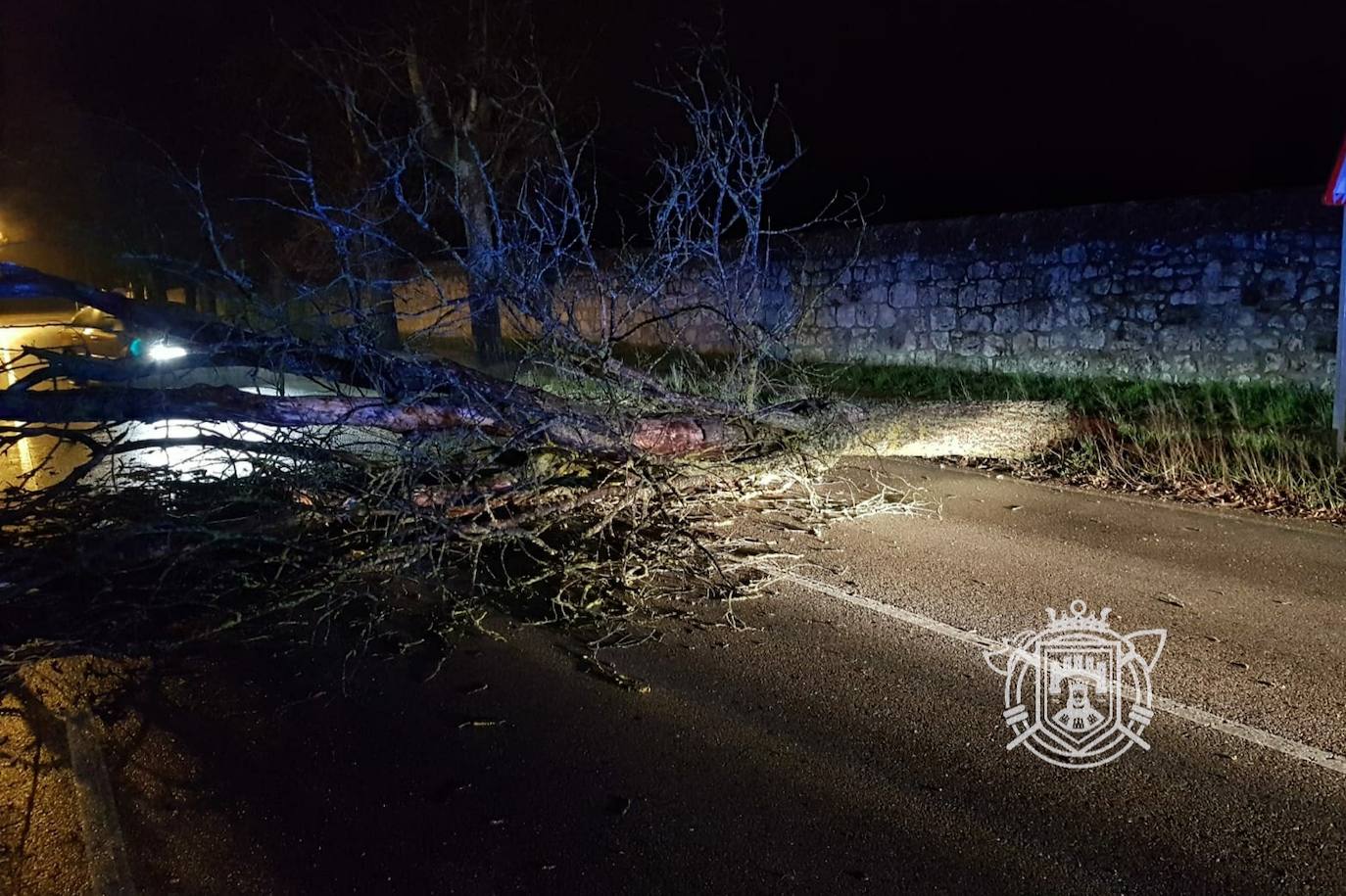 Árbol caído en la carretera de Fuentes Blancas. 