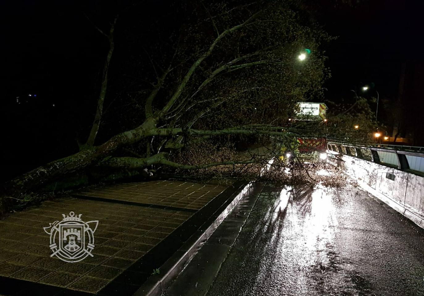 Árbol caído en la carretera de Fuentes Blancas.