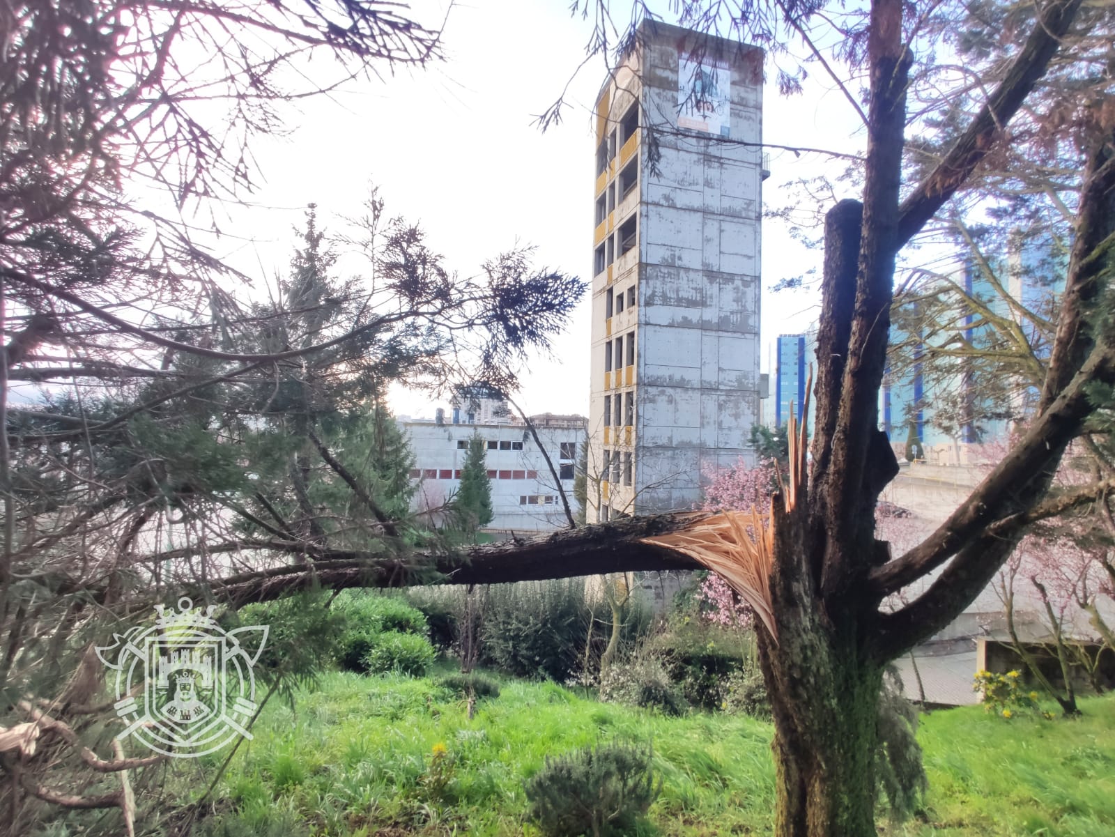 Árboles caídos en las instalaciones de los Bomberos de Burgos.