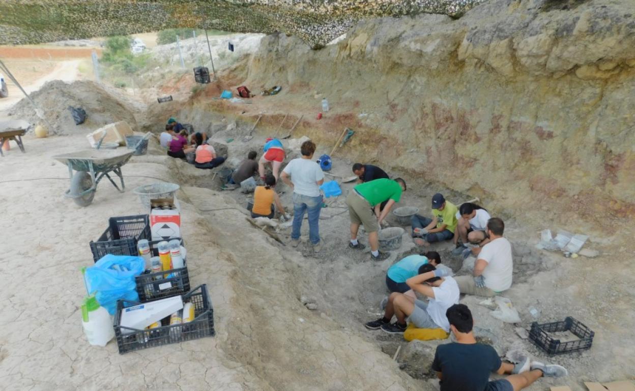 Trabajos de excavación paleontológica del pasado verano en el yacimiento de Torrelara. 