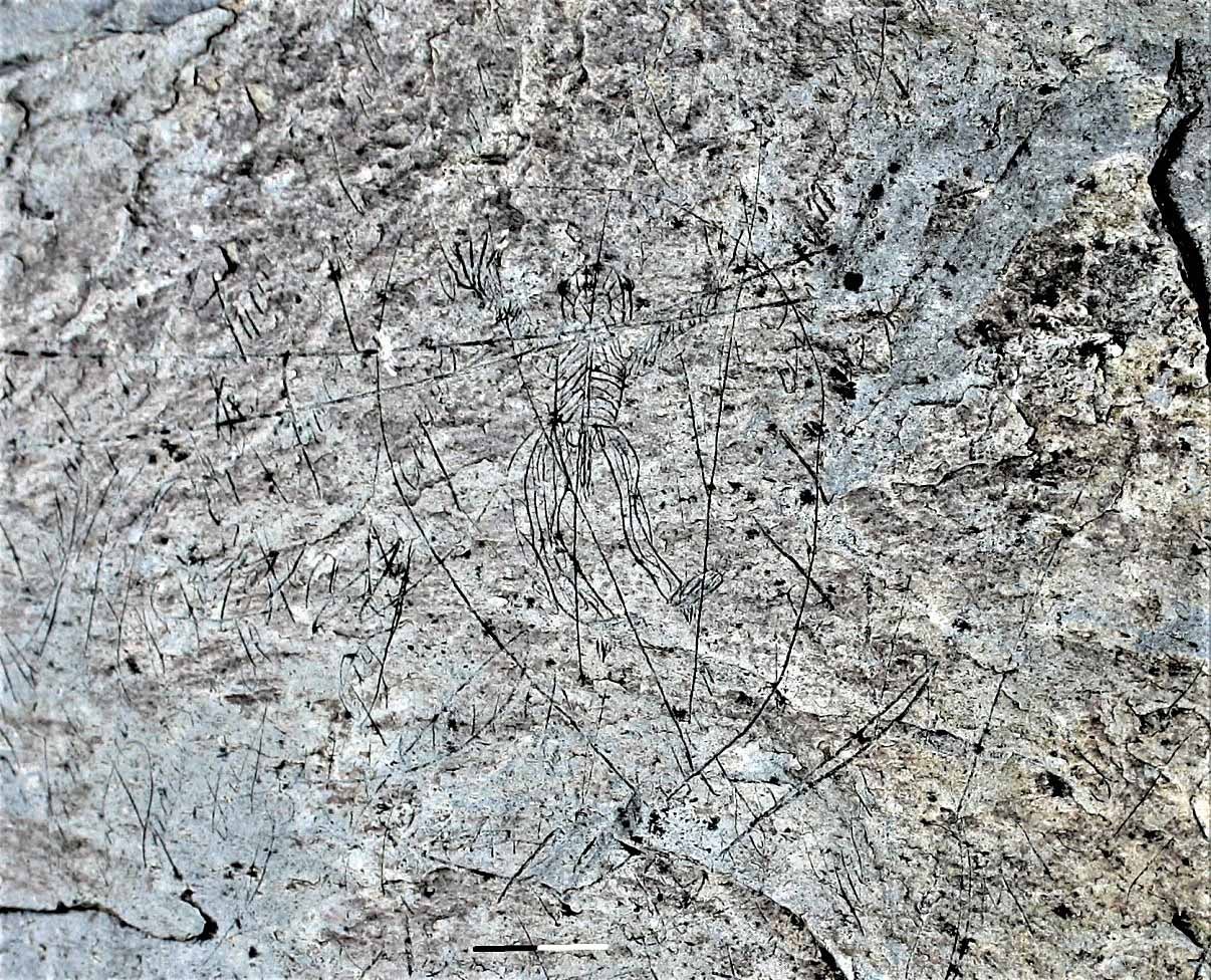 Placa grabada en el yacimiento de Bustarejo a principios del siglo XX.