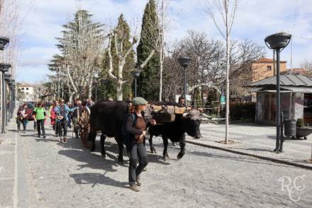 La escultura del burgalés Humberto Abad se instaló en una plaza madrileña durante los actos que se celebraron para ensalzar la actividad selvicultora y la ordenación de los bosques