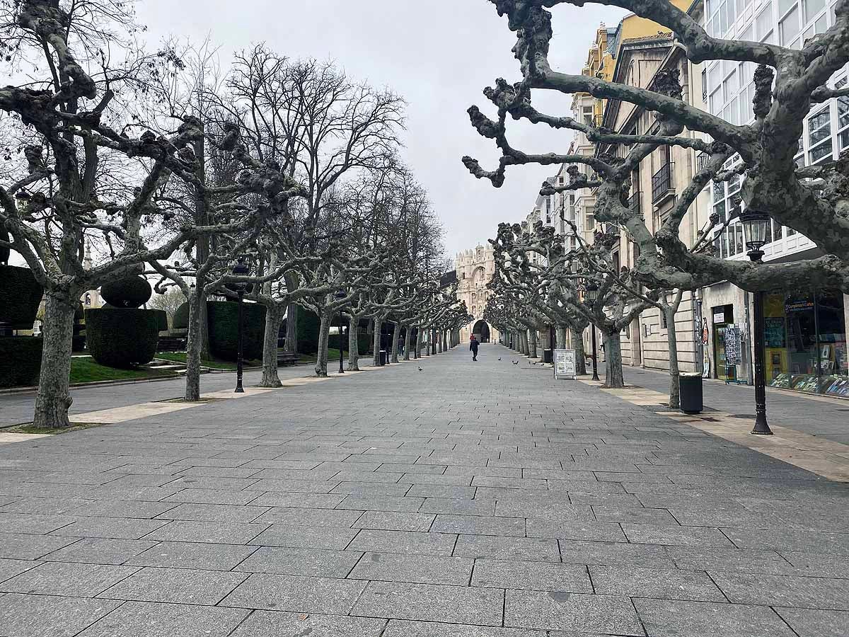 La Plaza Mayor desierta a media mañana.