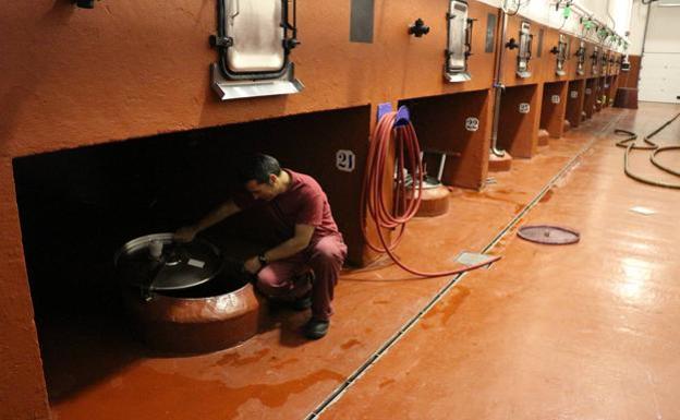 Las bodegas ralentizan el trabajo pero no pueden cerrar por el coronavirus