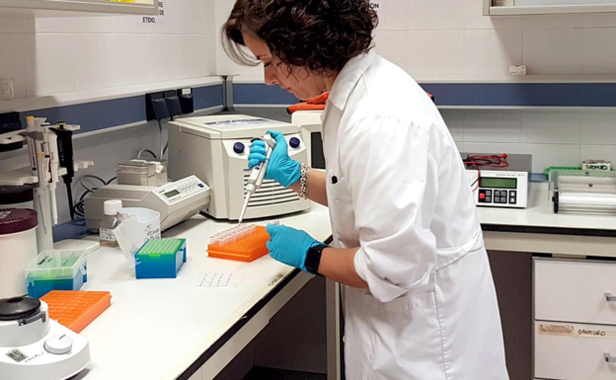 Una investigadora en uno de los laboratorios. 