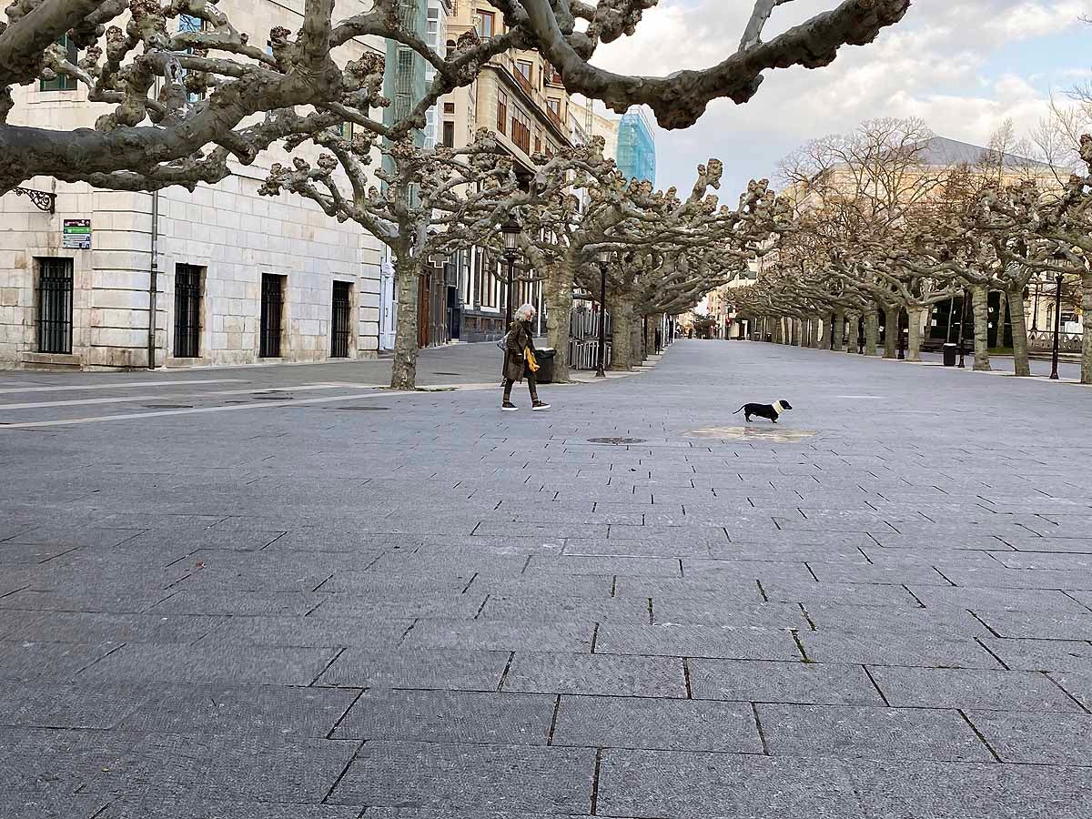 Pasear al perro es una de las pocas circunstancias por las que está permitido salir a la calle.