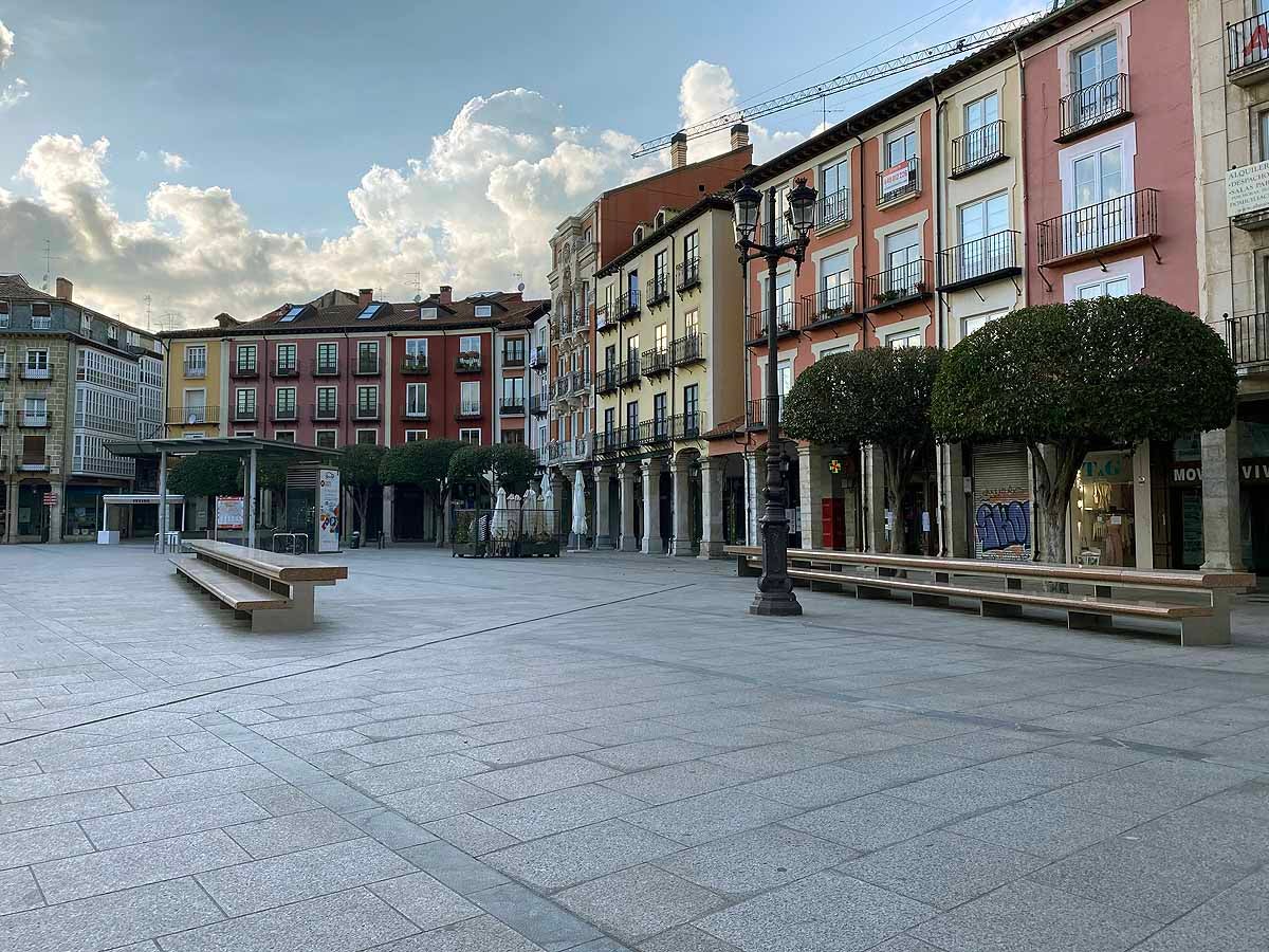 Pasear al perro es una de las pocas circunstancias por las que está permitido salir a la calle.