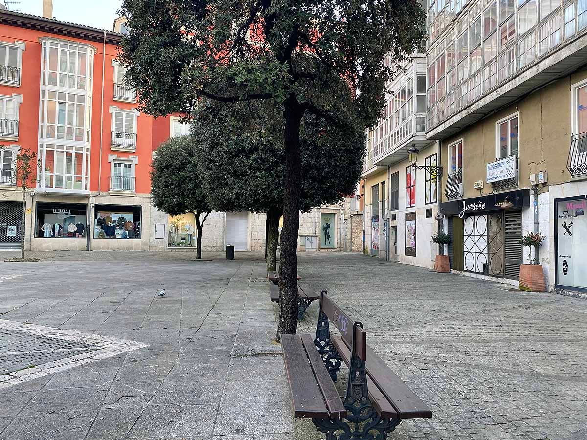 Pasear al perro es una de las pocas circunstancias por las que está permitido salir a la calle.