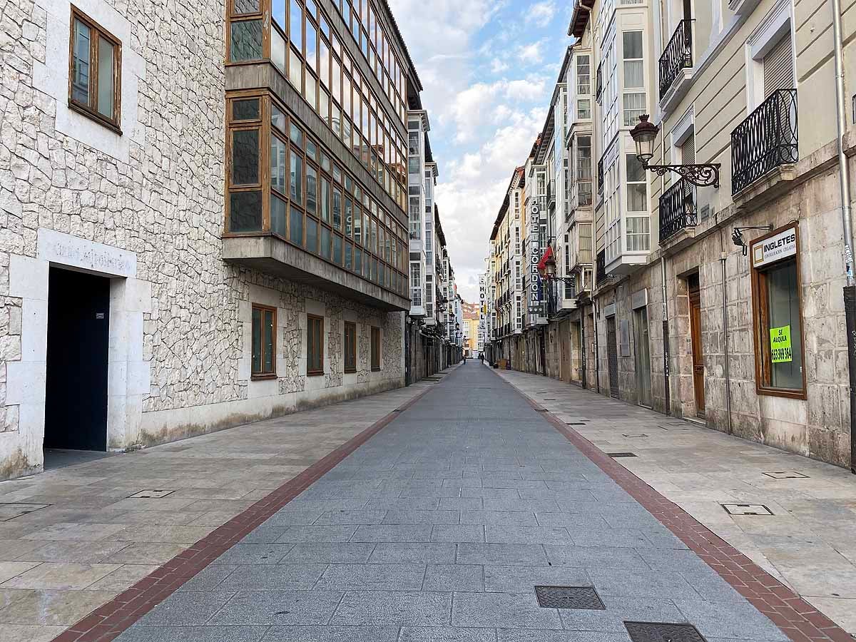 Pasear al perro es una de las pocas circunstancias por las que está permitido salir a la calle.