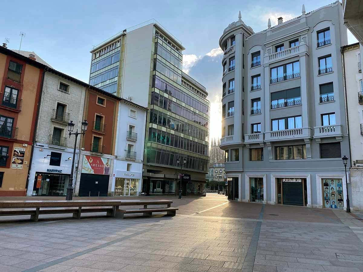 Pasear al perro es una de las pocas circunstancias por las que está permitido salir a la calle.