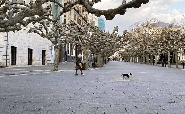 El Ayuntamiento limita los paseos con mascotas a 250 metros del domicilio durante el estado de alarma