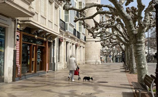 «No puede ser que los niños estén encerrados en casa y los perros de paseo todo el día»