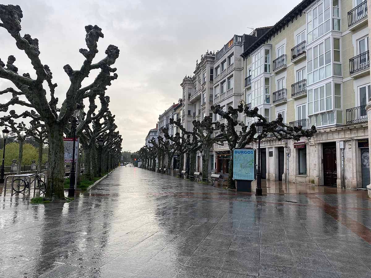 La Catedral, donde se hubiesen congregado este Viernes Santo cientos de personas, sobrecoge bajo la lluvia y la sombra del coronavirus.