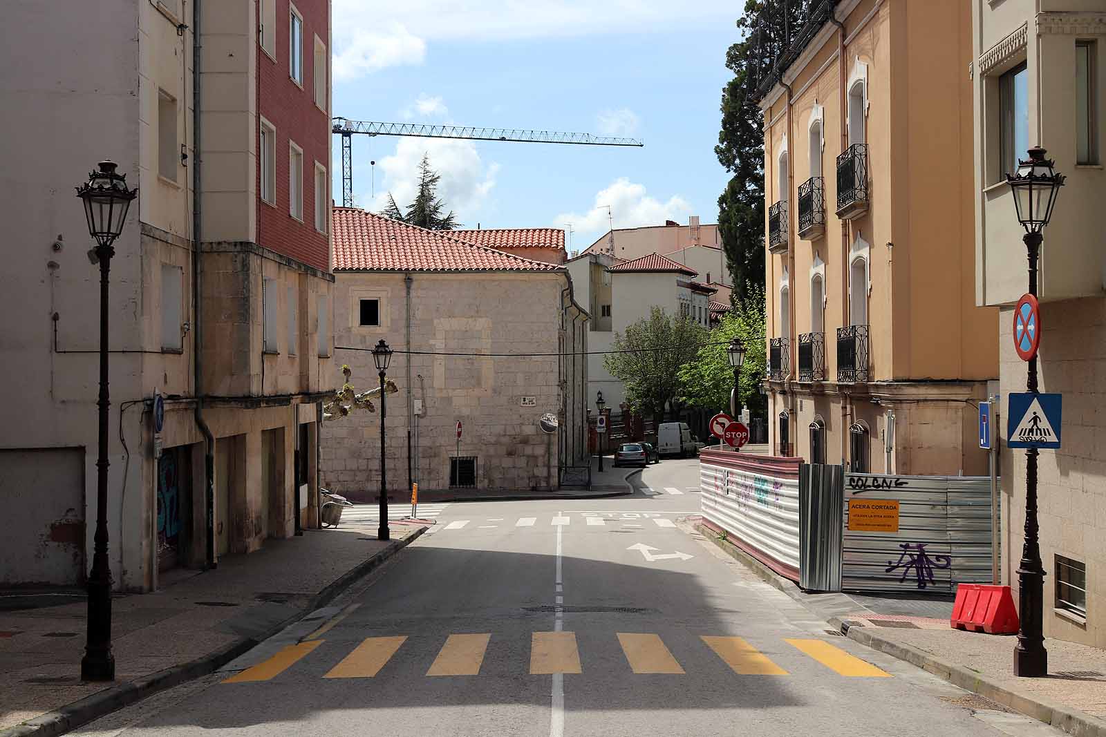 Fotos: La vida se abre paso en el confinamiento