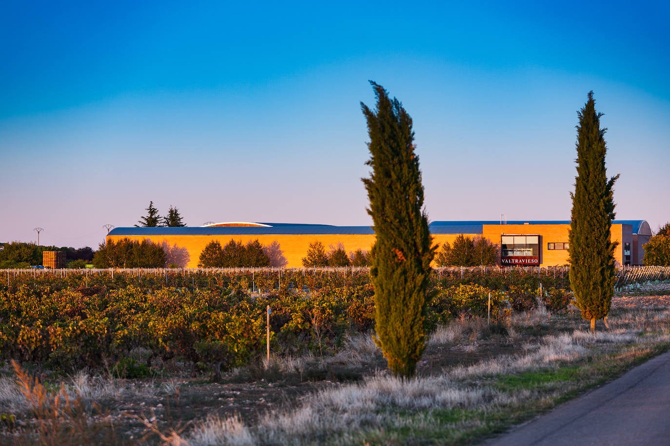 Fotos: Una bodega dorada al sol