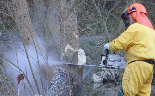 La Diputación empieza a tramitar la contratación de las cuadrillas forestales