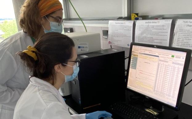 Laboratorio de la UBU en el que se realizan test PCR de la covid-19.