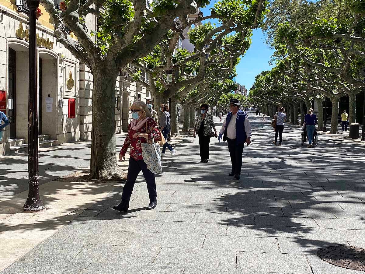 Fotos: Desfile de mascarillas en las calles de Burgos