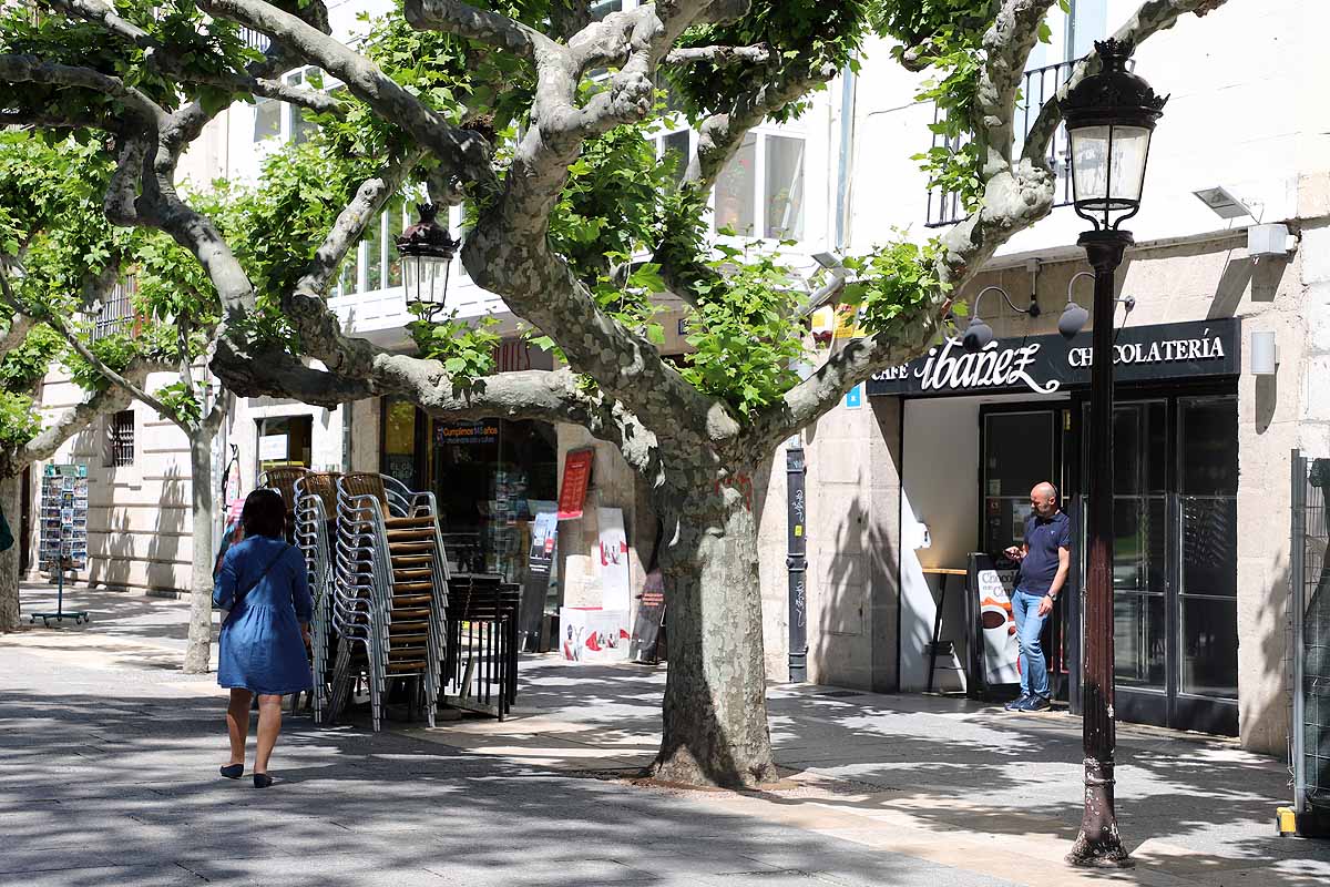 Desescalada Fotos: Las terrazas devuelven la alegría a las calles de Burgos