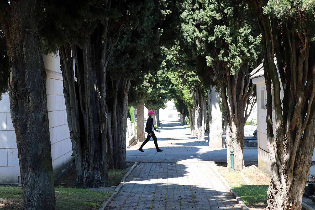 Las flores y los sentimientos regresan al cementerio San José de Burgos. 