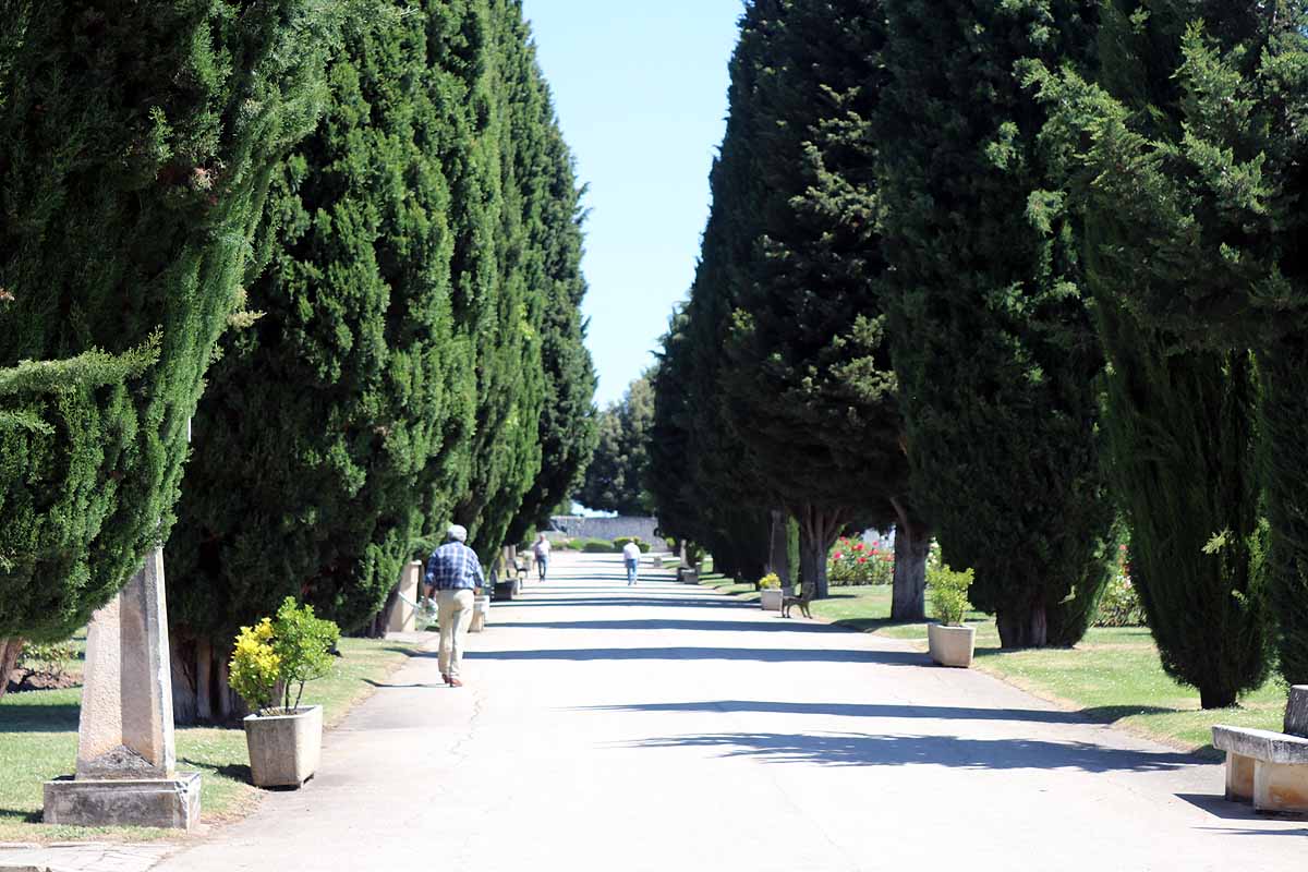 Las flores y los sentimientos regresan al cementerio San José de Burgos. 