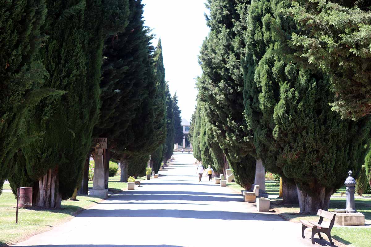 Las flores y los sentimientos regresan al cementerio San José de Burgos. 