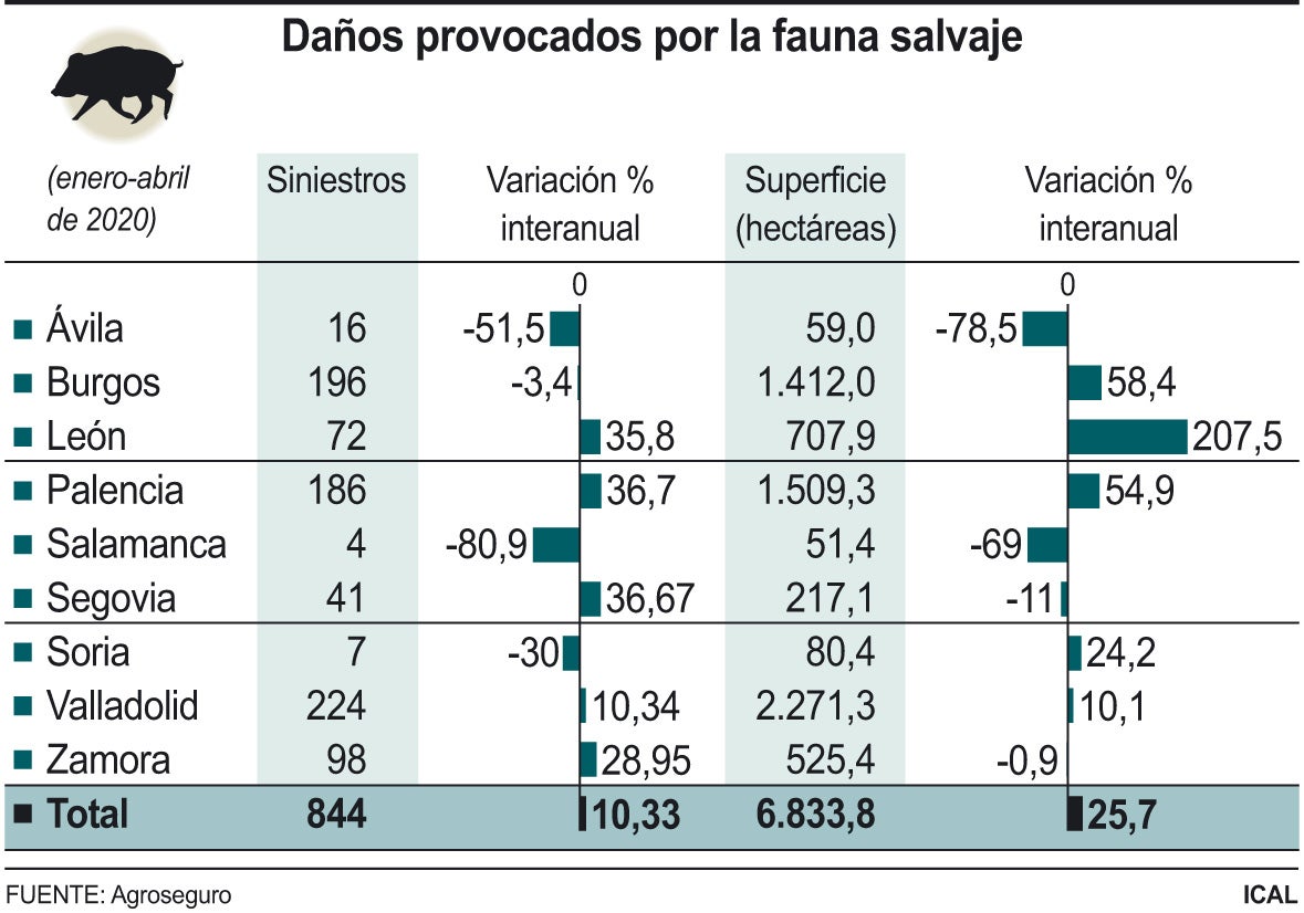 Daños provocados por la fauna salvaje. 