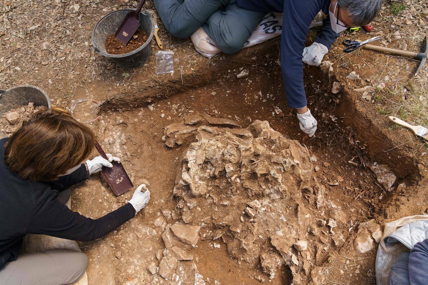 Fotos: Arranca la campaña de excavaciones en los yacimientos de Atapuerca