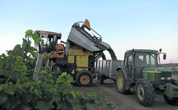 Las exportaciones agroalimentarias de Burgos suben un 5% este año