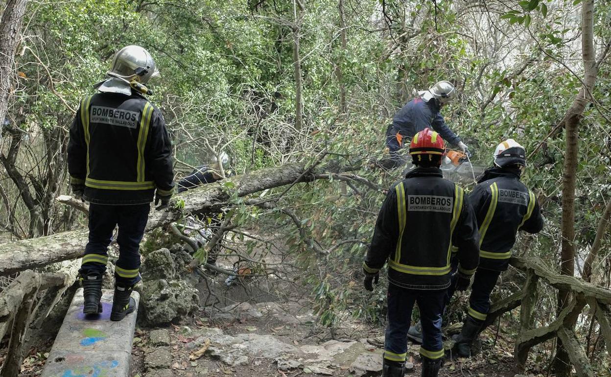 Imagen de archivo de la intervención de unos bomberos. 