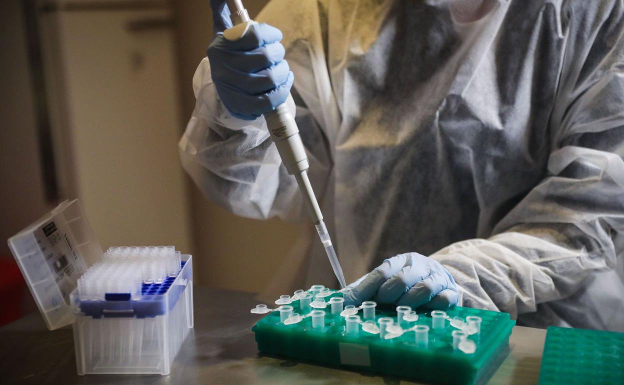 Burgos continúa sin notificar nuevos positivos por covid-19. 