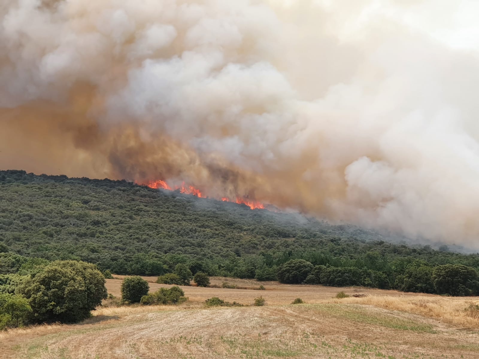 Fotos: Incendio en Junta de Traslaloma