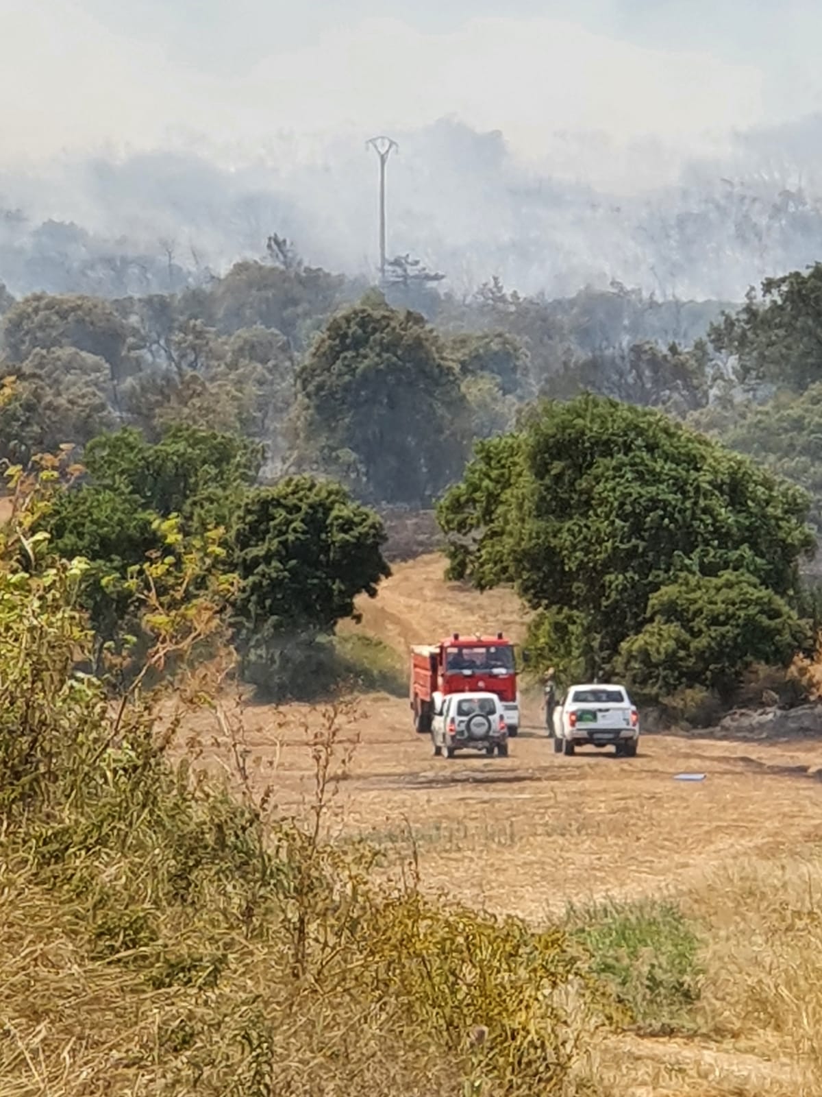 Fotos: Incendio en Junta de Traslaloma