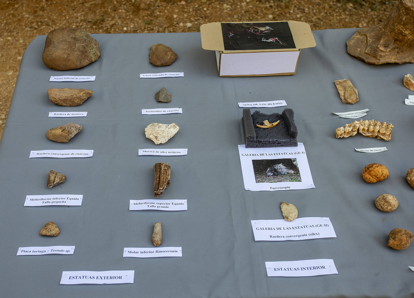 Fotos: Presentación de resultados de la campaña de Atapuerca