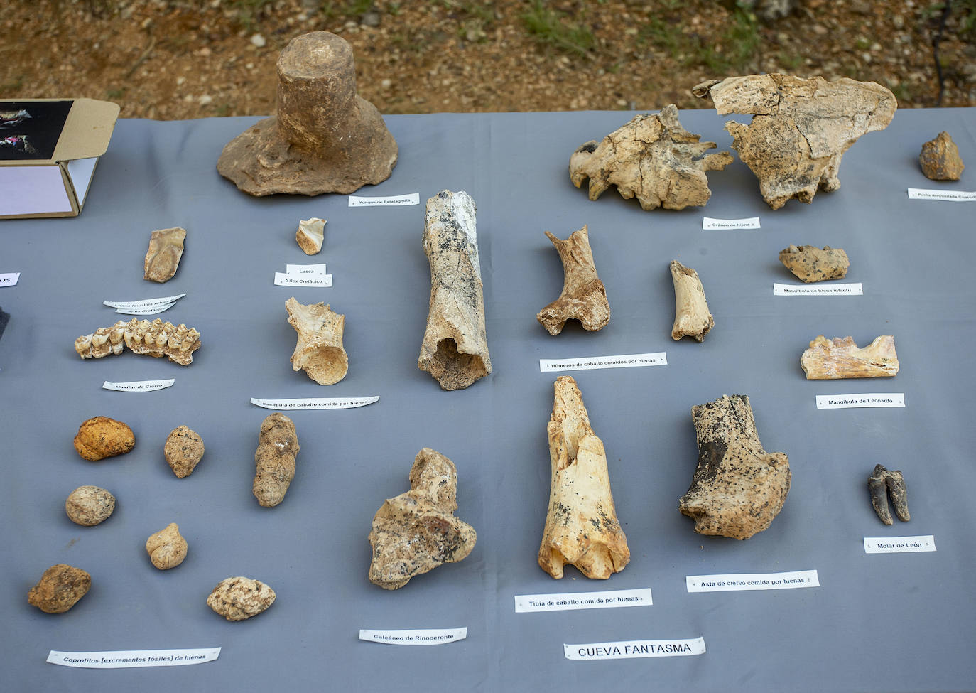 Fotos: Presentación de resultados de la campaña de Atapuerca