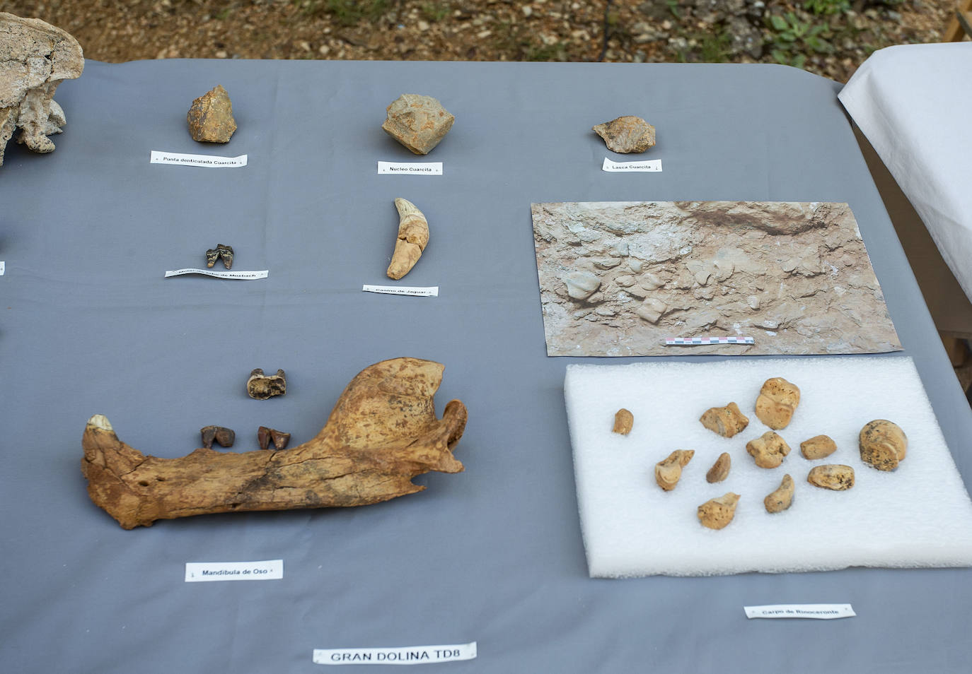 Fotos: Presentación de resultados de la campaña de Atapuerca