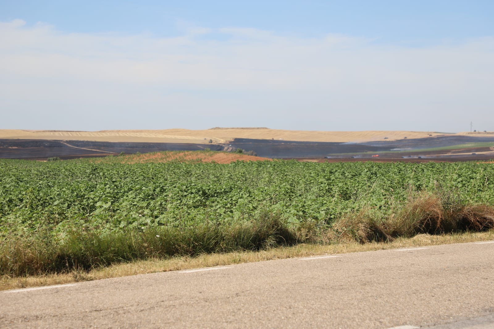 Fotos: Las llamas devoran una gran zona de terreno agrícola entre Arcos y Villangómez