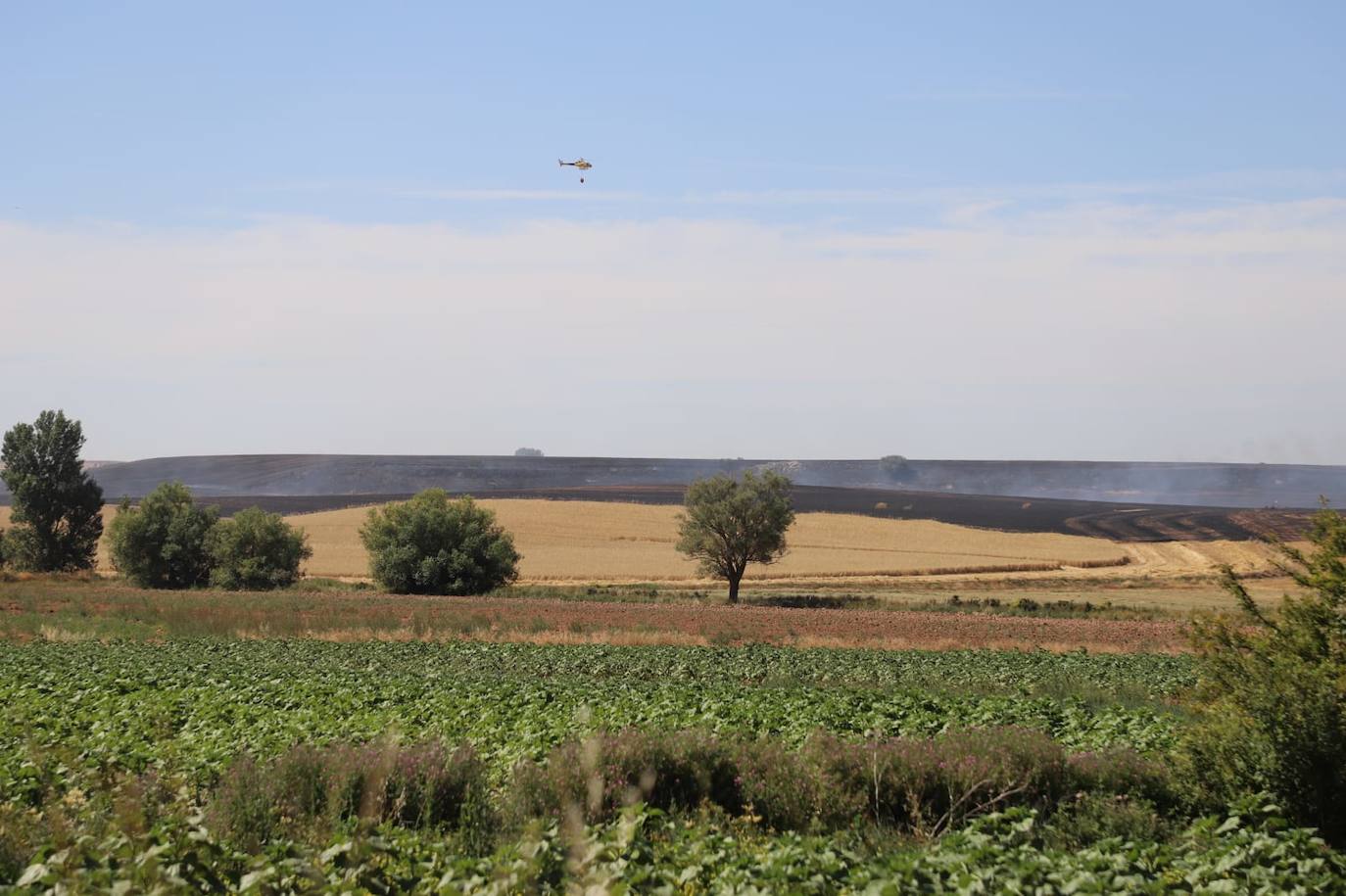 Fotos: Las llamas devoran una gran zona de terreno agrícola entre Arcos y Villangómez