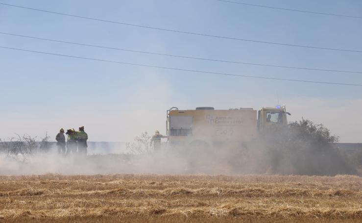Las llamas devoran una gran zona de terreno agrícola entre Arcos y Villangómez